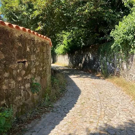 Dom wakacyjny Casa Do Cruzeiro Do Outeiro -comfort And Tradition