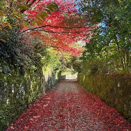 Casa Do Cruzeiro Do Outeiro -comfort And Tradition 펜션 폰테 데 리마