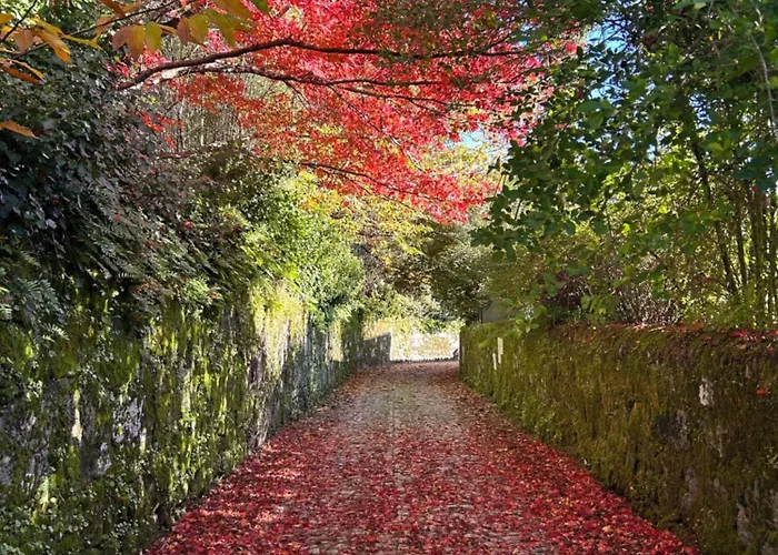 Casa Do Cruzeiro Do Outeiro -comfort And Tradition بيت للعطل بونتي دي ليما